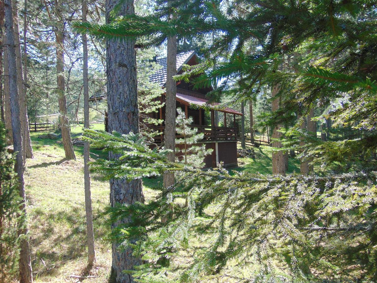 Tarski Dom Zaovine Exteriér fotografie