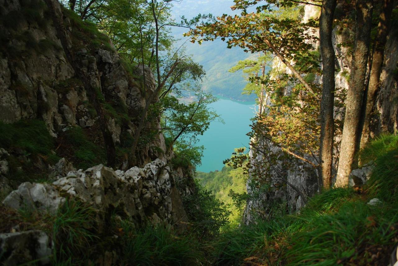 Tarski Dom Zaovine Exteriér fotografie